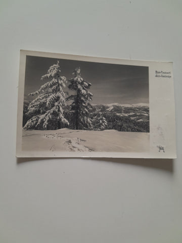 AK Blick v. Pleschwirt zur Glein - Fensteralpe.