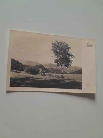 AK Blick vom Pleschwirt zur Gleinalm.