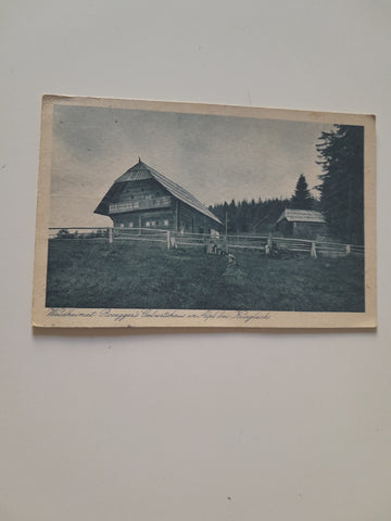 AK Waldheimat Rosegger's Geburtshaus in Alpl in Krieglach. (1923)