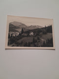 AK Turnau. Gasthof Gamsjäger.