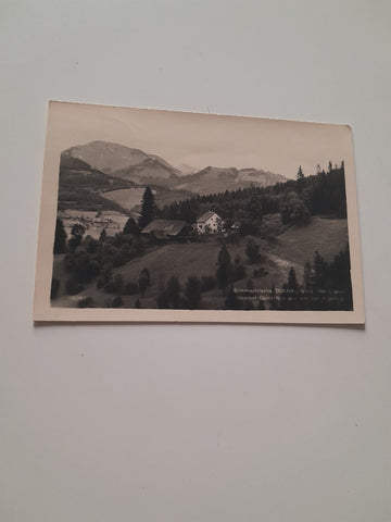 AK Turnau. Gasthof Gamsjäger.