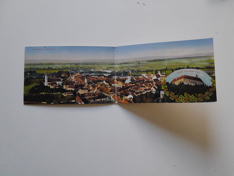 Panorama-AK Radkersburg.