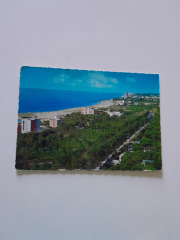 AK Jesolo Pineta. Panorama.