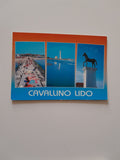 AK Cavallino Lido.