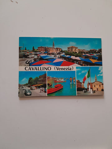 AK Cavallino.