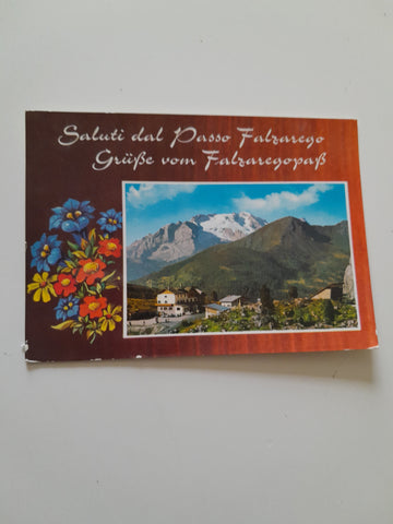 AK Saluti dal Passo Falzarego.