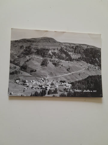 AK Arabba.