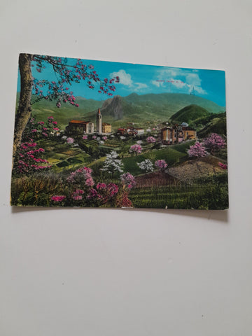 AK Colli Euganei. Panorama di Teolo verso Monte Venda.