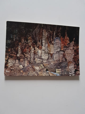 AK Trieste - Grotta Gigante. Viale delle Colonne.
