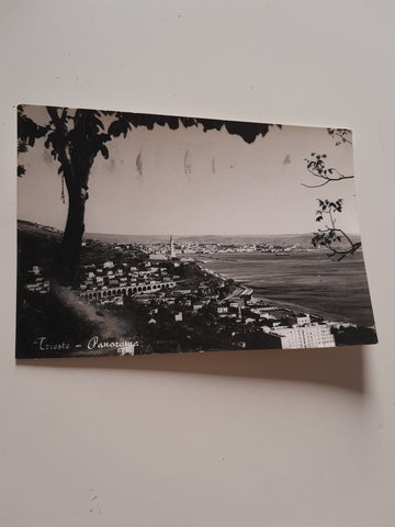 AK Trieste - Panorama.
