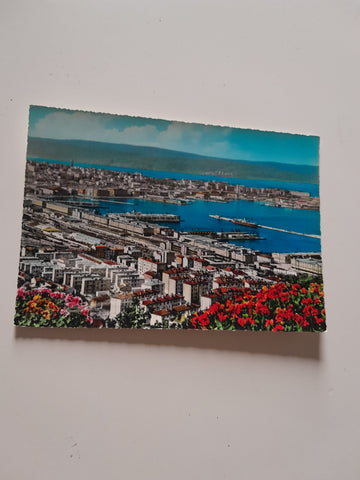 AK Trieste Panorama.