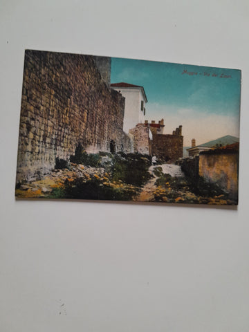 AK Muggia. Via dei Lauri.