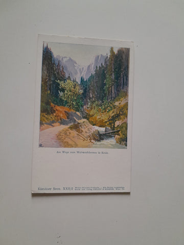 AK Am Wege zum Weissenfelsersee in Krain.