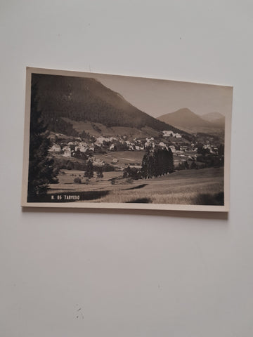 AK Tarvisio.