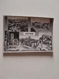 AK Udine.
