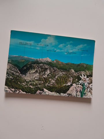 AK Timau. Strada di Monte Croce carnico.
