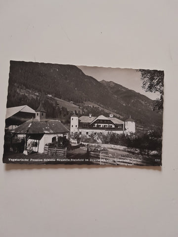 AK Steinfeld im Drautal. Vegetarische Pension Schloss Neustein.