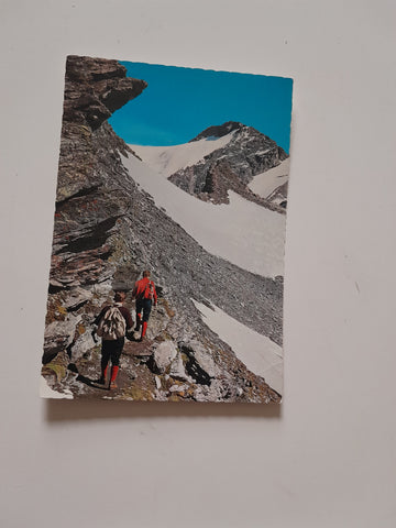 AK Aufstieg vom Hannover-Haus. Arnoldhöhe zum Ankogel.