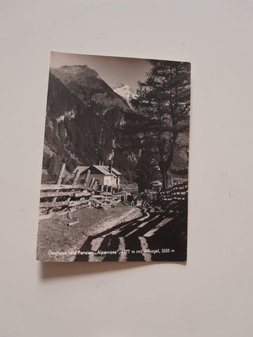 AK Gasthaus und Pension Alpenrose mit Ankogel.
