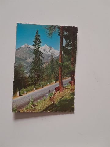 AK Großglockner Hochalpenstraße. Auffahrt Südrampe.