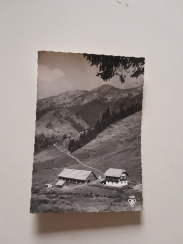 AK Alpenwirtschaft Möselalm, Weißbriach.
