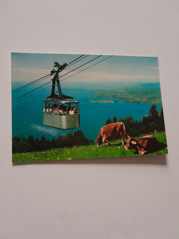 AK Bregenz am Bodensee. Blick vom Pfänder.