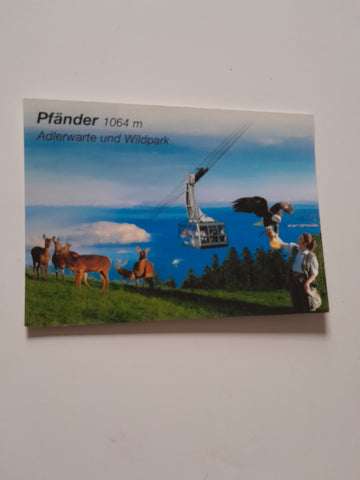 AK Pfänder Adlerwarte und Wildpark.