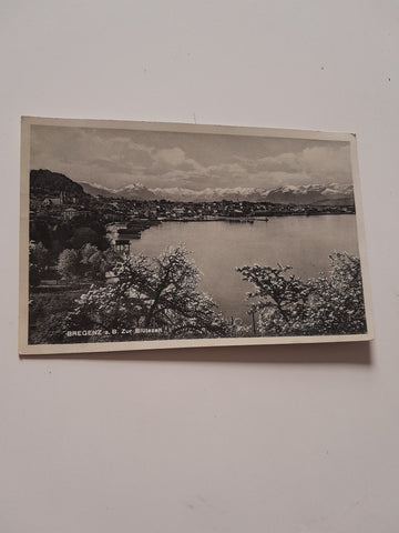AK Bregenz am Bodensee. Zur Blütezeit.