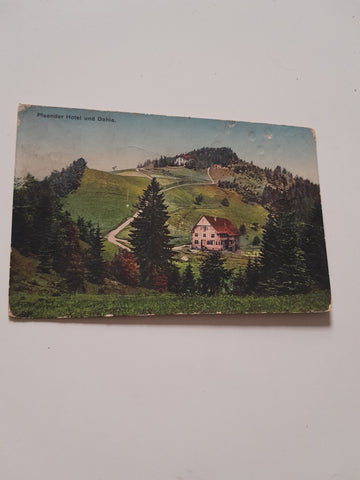 AK Pfänder Hotel und Dohle.