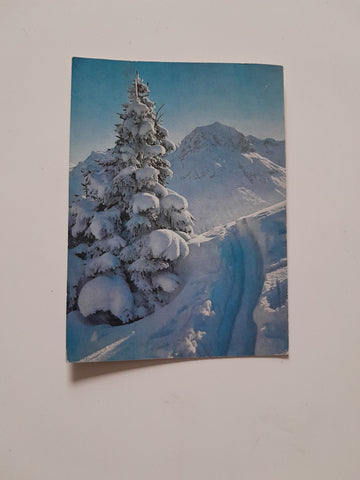 AK Omeshorn in den Lechtaler Alpen.