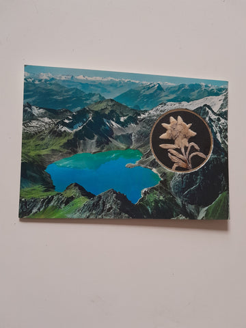 AK Lünersee. (mit echtem Edelweiss)