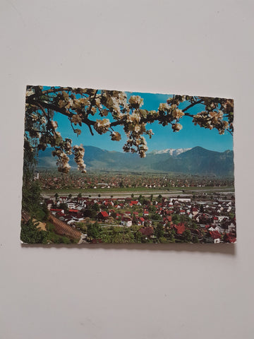 AK Blick vom Schweizer Berg auf Lustenau.
