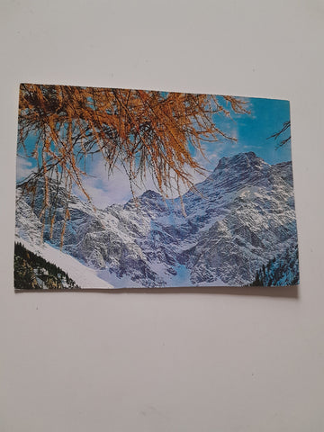 AK Nenzinger Himmel.