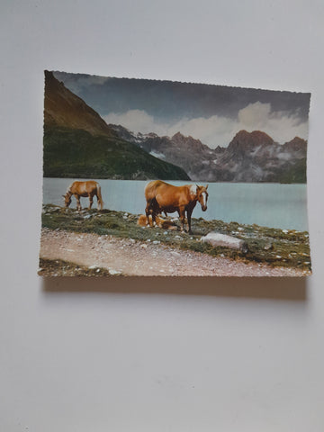 AK Silvretta Stausee mit Hochmaderer.
