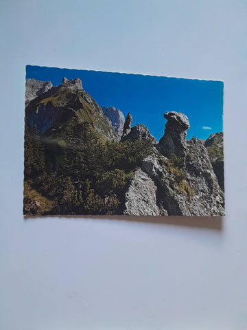 AK "Der Steinadler" von der Alpe Lagutz mit Rote Wand.
