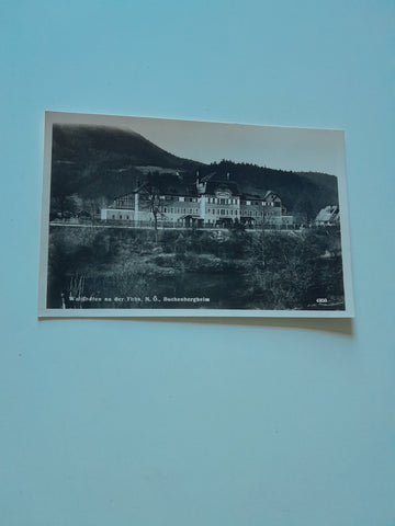 AK Waidhofen an der Ybbs. Buchenbergheim.