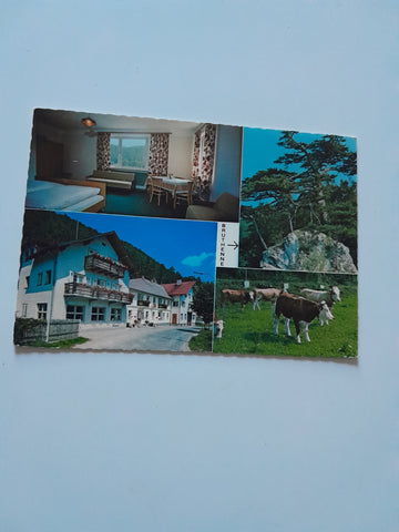 AK Furth/Triesting. Gasthof Pension zur Bruthenne. Johann u. Hilda Müller.
