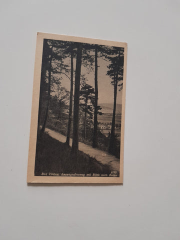 AK Bad Vöslau. Anzengruberweg mit Blick nach Baden.
