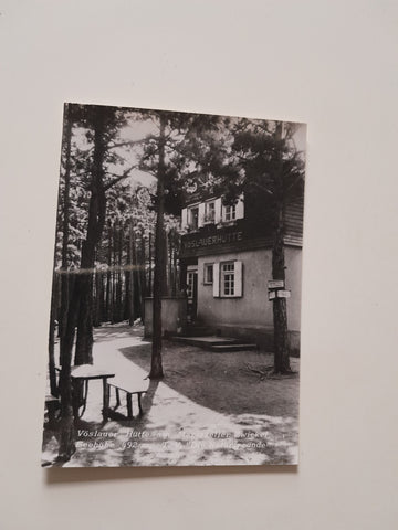 AK Vöslauer Hütte am Mariazeller Zwickel. T.V. Die Naturfreunde.