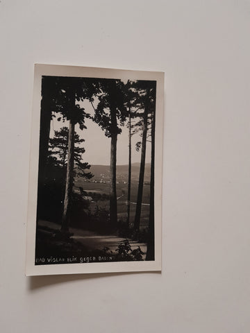 AK Bad Vöslau Blick gegen Baden.