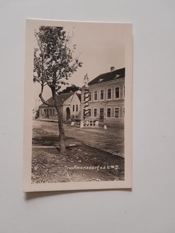 AK Trautmannsdorf an der Leitha.