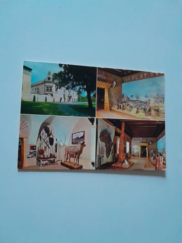 AK Schloss Deutsch-Altenburg. Afrika Museum.