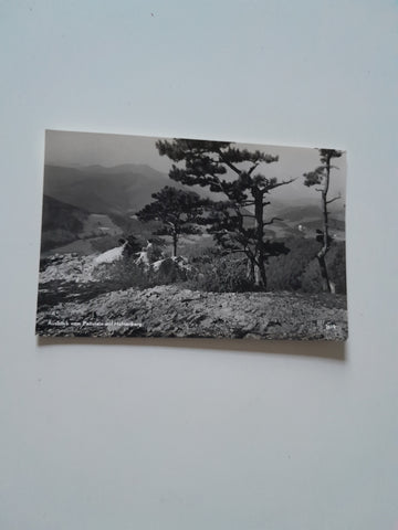 AK Ausblick vom Peilstein auf Hafnerberg.