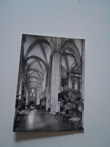 AK Heiligenkreuz. Cistercienser Abtei. Inneres der Stiftskirche, romanisches Langhaus mit Orgel.