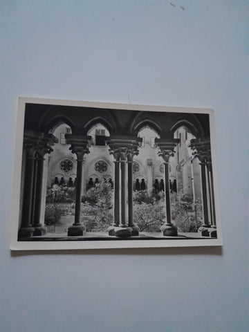 AK Stift Heiligenkreuz. Aus dem Kreuzgang.
