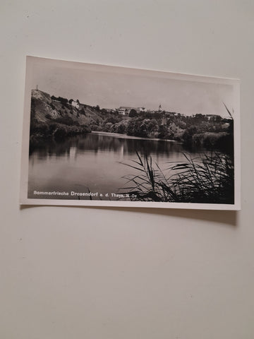 AK Drosendorf an der Thaya. (1955)