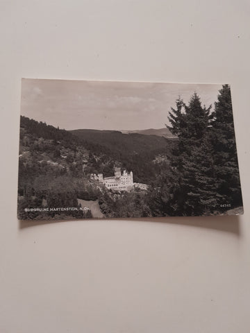 AK Burg Hartenstein.