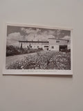 AK Hadersfeld. Hof am Elfenhügel vulgo Kräuterlhof. Südansicht der Versuchspflanzung der Arzneimittelfabrik Dr. Kutiak & Co. Wien.