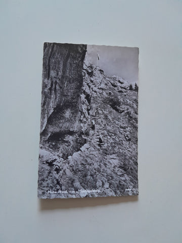 AK Hohe Wand, Springelsteig. (1965)