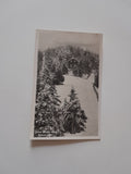 AK Hohe Wand, Rößnerhütte. (1927)